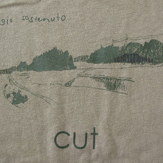 cut / Adagio Sostenuto (detail)　2010　Screen printing on T-shirt　