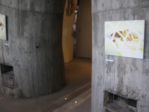 〈 NAKANOJO BIENNALE 〉2015　Hirozakari Toilet
