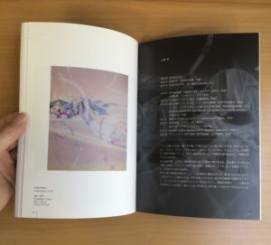 mini catalogue of the exhibition〈 Upcoming Artists Selection FAUSS 2016 〉2016