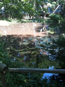 reflection on mud water, Tsukuba 2012